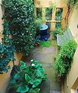 7571_smallgarden5_1251287415